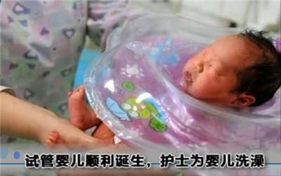 首席专家